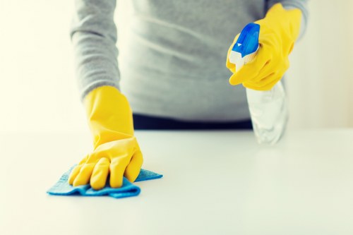 Deep carpet cleaning in Hornsey removing embedded dirt and stains