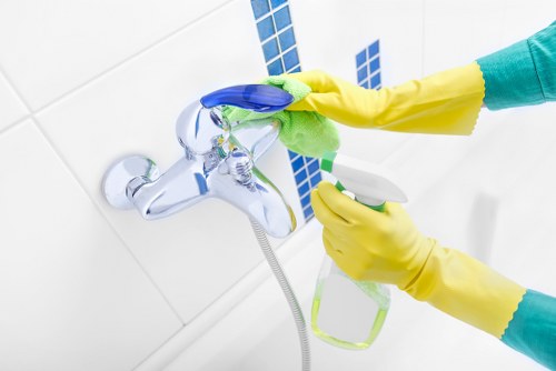 Detailed carpet cleaning process by Hornsey carpet cleaners in a Hornsey property